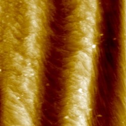 Graphene on Cu