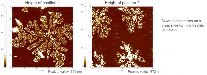 Fractals_of_silver_nanoparticles