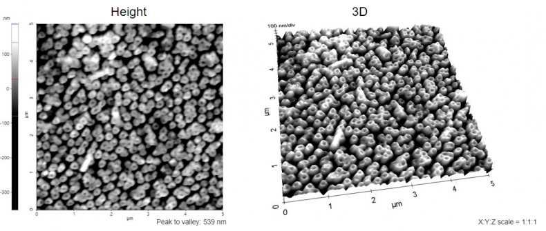 Nanostructures_on_polymer