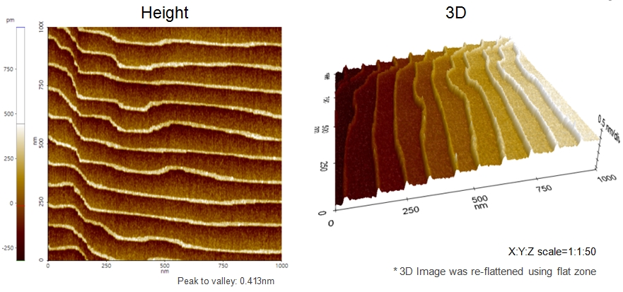 Atomic steps on STO110 2