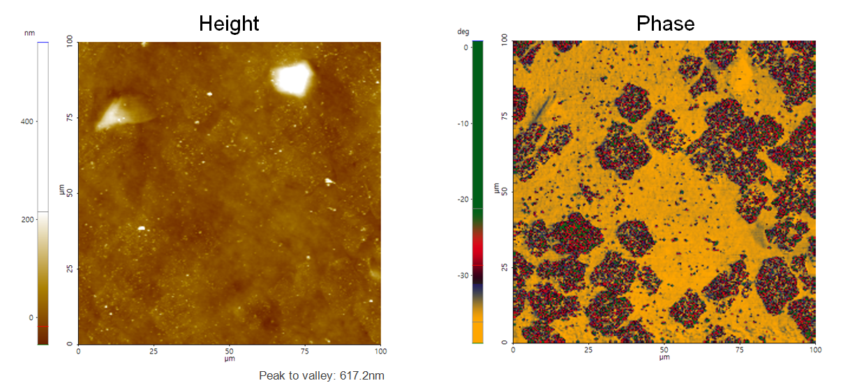 Monolayer Graphene on PDMS Surface