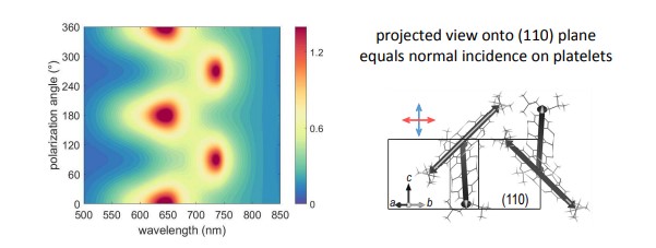 app25_fig03_04.jpg