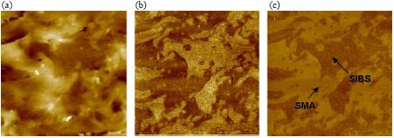 08-polymer-composite-phase-separation-2