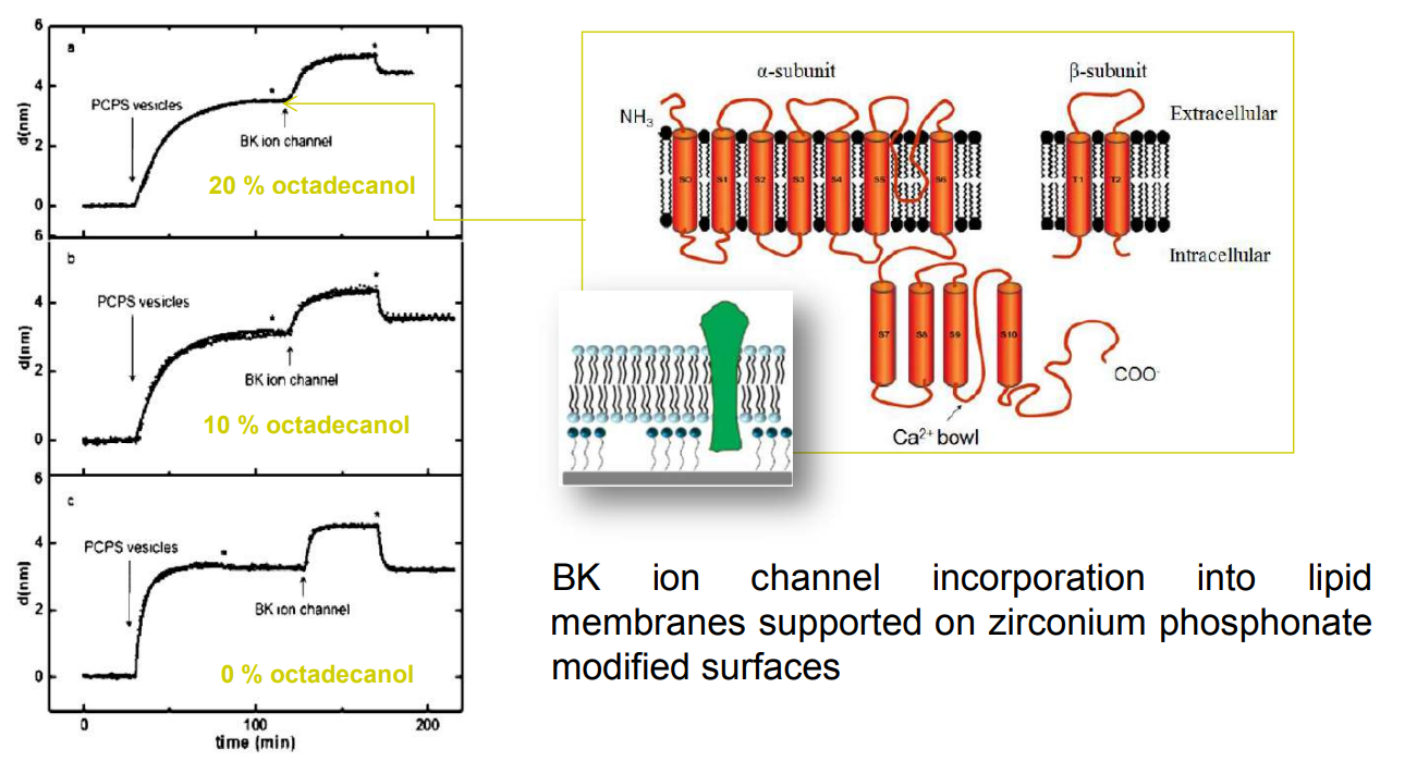 app28 fig35