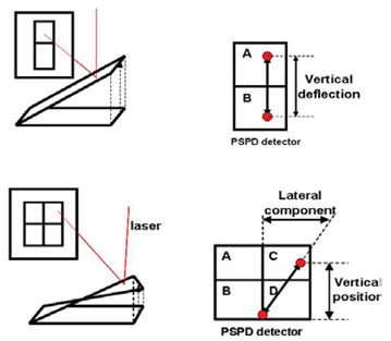 app40 fig2