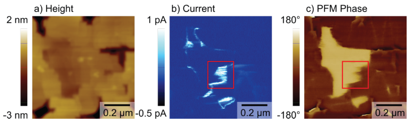 app75-fig3