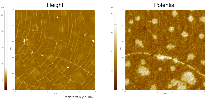 Single layer Graphene film on Cu foil 2