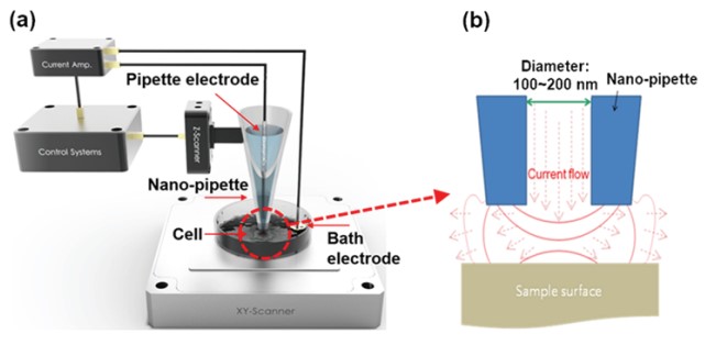 Schematic image of SICM