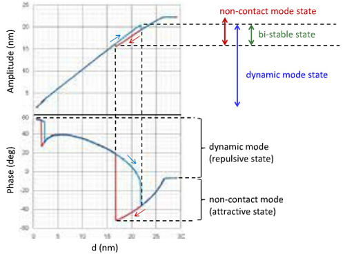 AFM-cantilever-amplitude-n-phase