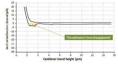 fixed-cell-to-cell-adhesion-force