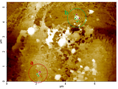 surface-morphology-analysis