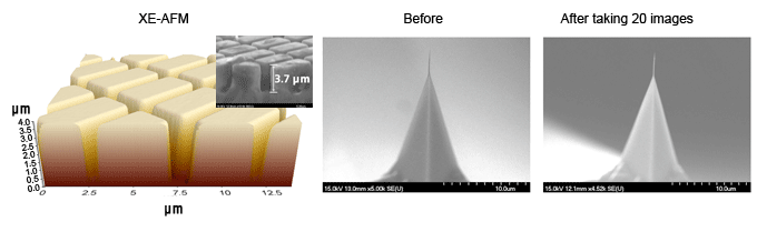 xe-afm