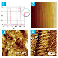 201310-webinar-park-afm-capture-sample