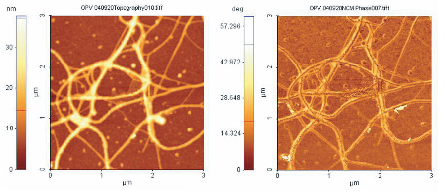 spm-phase-imaging-detection-microscopy-pdm-afm-f4